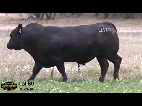 GRANITE RIDGE QUIZNO Q120