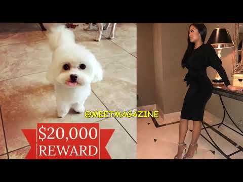 Princess Love and Ray J lost dog Boogotti! HELP THEM FIND THEIR POOCH! #LHHH #LHHHOLLYWOOD