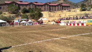 preview picture of video 'Virginia City Camel Races - Amateur Traveler Video #67'