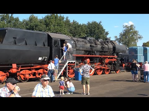 Dutch Steam trains Galore! Back to Yesteryears with the VSM: "Terug naar Toen" in 4K (2022)