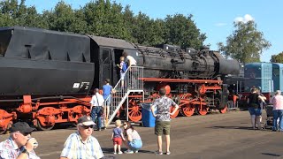 Dutch Steam trains Galore! Back to Yesteryears with the VSM: Terug naar Toen in 4K (2022)