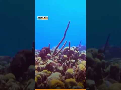 De la Espriella anuncia decreto para establecer las líneas de base del archipiélago de San Andrés