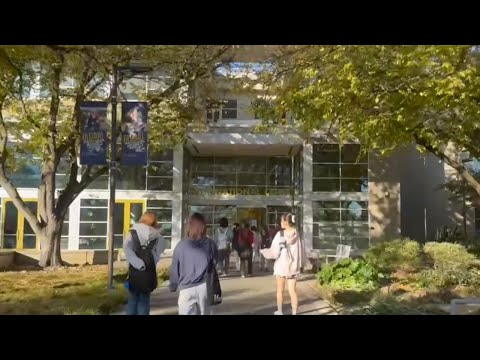 児童教育学科 2025-26 STAYS 動画レポート（カリフォルニア①）