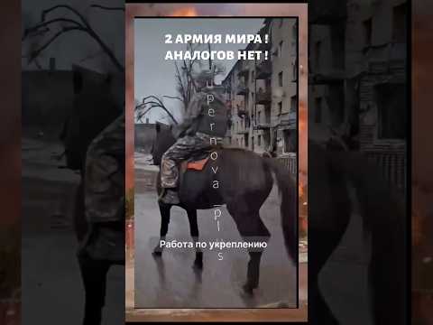 Генерал Шаманов-нужно срочно сворачивать СВО! Жалко коней! #путинскиймир #война #конинасво #шаманов