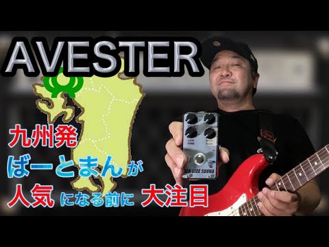 SEA SIDE SOUND SEA SIDE SOUND Dumble Overdrive AVESTER image 6