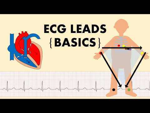 ECG Explained: ECG Leads /The Basics of ECG - Part 1/