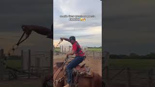 Técnica diferente para domar cavalo