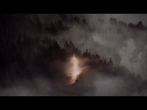 NINI X KANI - KASNO JE