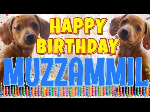 Happy Birthday Muzzammil! ( Funny Talking Dogs ) What Is Free On My Birthday