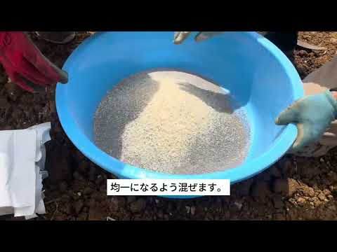 さとうきび新植での散布