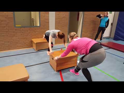 Handstand Lehrgang Team 1 & 2 & 3 mit Miriam Freund im Januar 2018