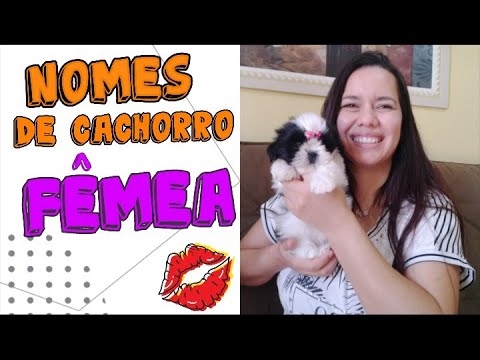 Nomes para cachorro  fêmea