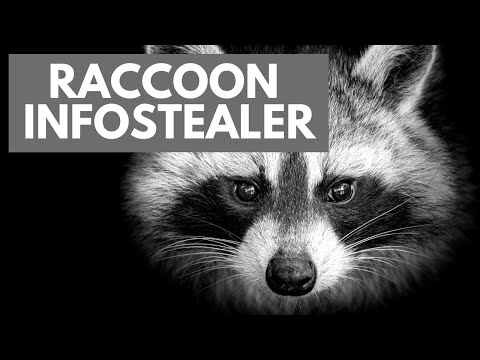Raccoon Infostealer Malware