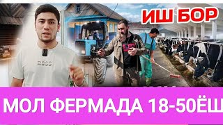 ⚡Иш бор Узбекистондан олиб келамиз🇺🇿3-махал овкат ёток жой регистрация бепул #иш #работа #жумуш