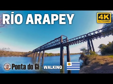 Al costado del RIO ARAPEY llegando al viejo PUENTE FERROVIARIO en TERMAS #walking TOUR 2025 URUGUAY
