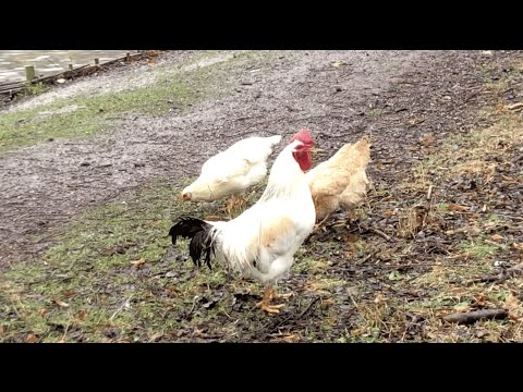 Sorry3000 - Mein Foto