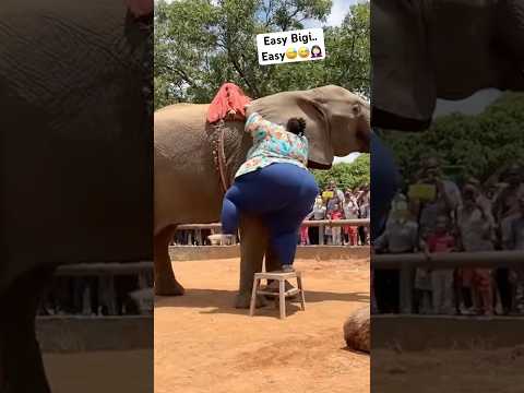 Easy Bigi.. Easy😅🤦🏻‍♀️ #youtube #youtubeshorts #shorts #funny #ytshorts