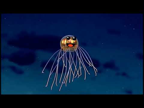 NEW Real Life Doodles JANUARY 2018 Compilation! Everything is better with Doodles 2018.