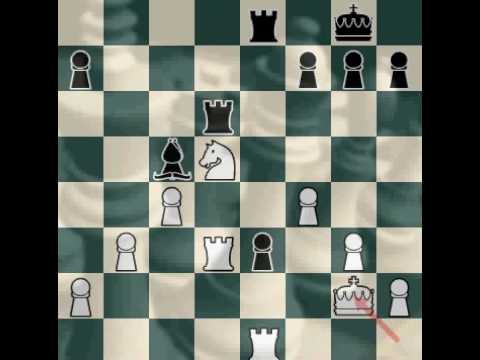 Br41nNinja: Chess Match 24