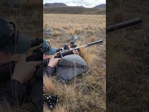 Tikka Review: This Budget Build Makes Expensive Guns Obsolete