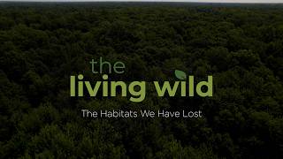 The Habitats We Have Lost