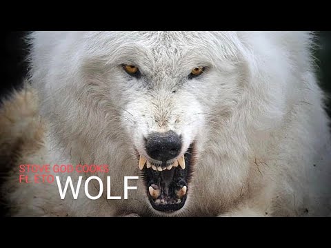 STOVE GOD COOKS X ETO - WOLF
