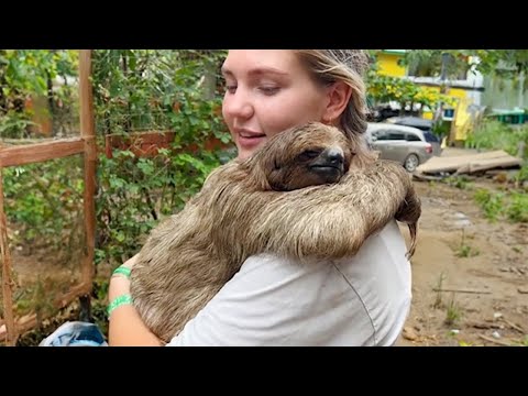 Quand les animaux et les humains forment un lien spécial ! - les animaux les plus drôles