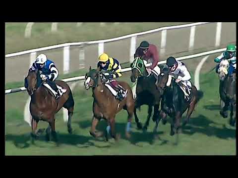 Napoli Galoppo 15/02/2022 - 3ª corsa