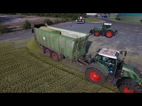Maishäckseln 2019 Claas Jaguar 950 Krone EasyCollect[LU Wehrendt][Claas][Silage][Kreis ROW][Deutsch]