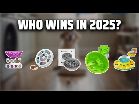 The Top 5 Best Dog Puzzle Feeder in 2025 - Must Watch Before Buying!
