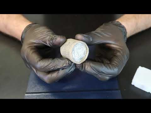 Morgan Silver Dollar Rolls from Ebay #7