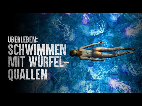 How does one survive a swarm of box jellyfish?