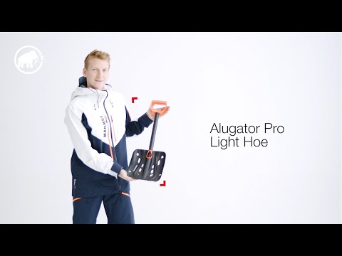 Thumbnail Youtube