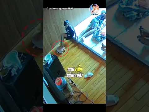 Thông minh nhưng không qua được bố 😆 #shorts