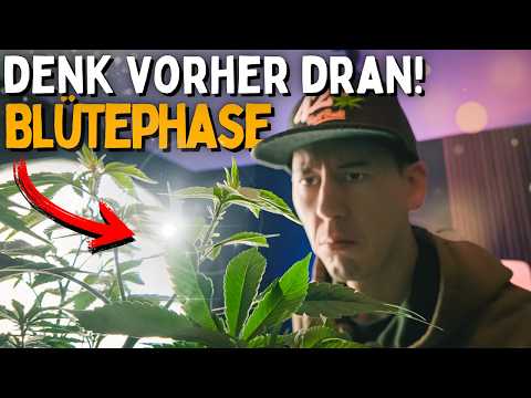 Fear of the flowering phase 😨 Check it before flowering - 5 point checklist and topic cuttings