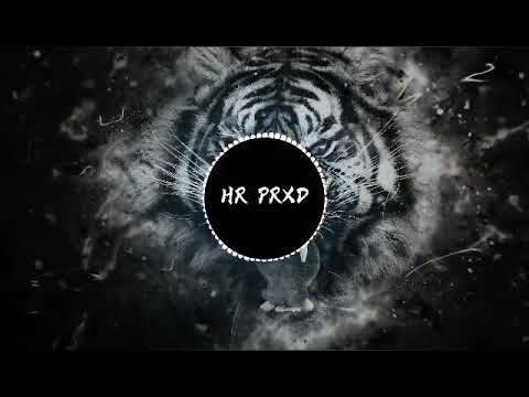 Swankipakitoket ft Matthieu & Master Dov - Dancehall Shatta