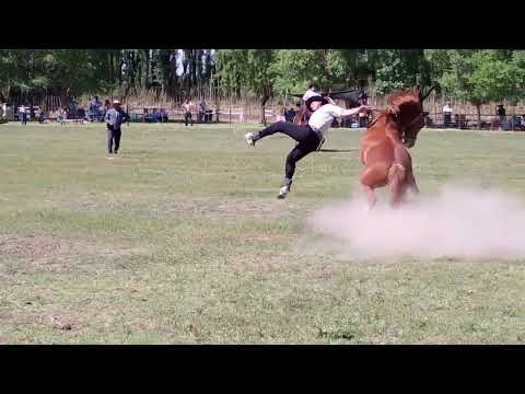 Jineteadas rumbo a Jesús María 2026!! 