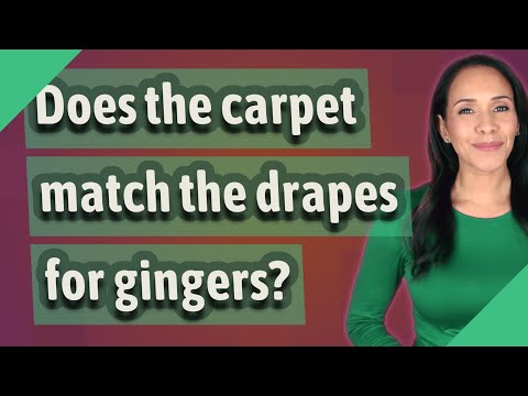 Does The Carpet Match The Drapes For Gingers