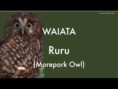 Ruru Waita