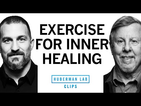 Guided IFS Therapy Session / Exercise for Inner Healing | Dr. Richard Schwartz & Dr. Andrew Huberman