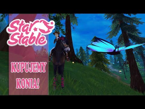 Star Stable Od Zera #89 -  Kupno konia i nowe fakty w sprawie kur!