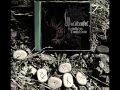 Waldteufel - Lichtkreuzweihe 