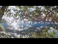 AKB48 - Yume e no Process