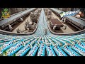 How Bounty Bars Are Made In Factory Food Processing Machines
