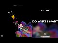 Lil Uzi Vert Do What I Want 432Hz