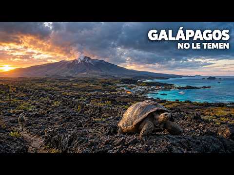GALÁPAGOS: ¿Cómo Viven Casi 30.000 Personas Entre Animales que No Le Temen al Hombre?