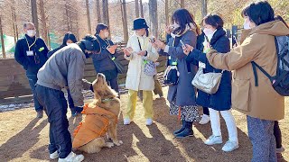 - 犬に慣れてない後輩スタッフにべったり懐いたビスケとジョン