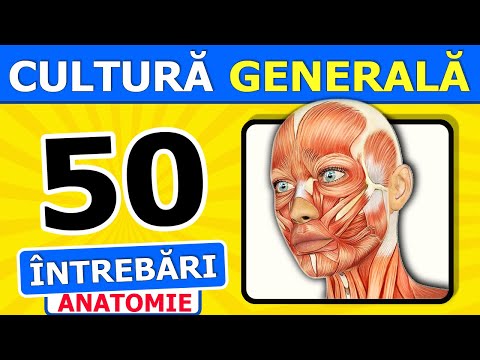General Knowledge Test #6: 50 questions from Human Anatomy | With Your Belly on the Book