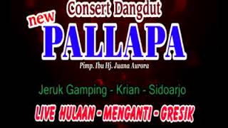 Download lagu Dangdut koplo palapa bukan yang pertama wasyik mp3 Download lagu Dangdut koplo palapa bukan yang pertama wasyik mp3