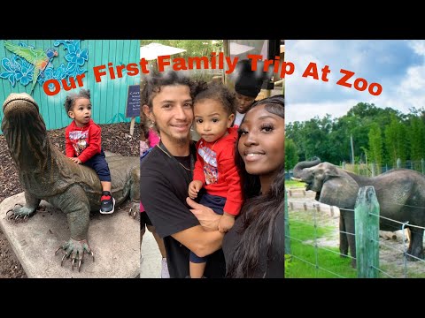OUR FIRST FAMILY TRIP WITH BABY AT THE ZOO •SAFARI RIDE•ANIMALS•ICE CREAM